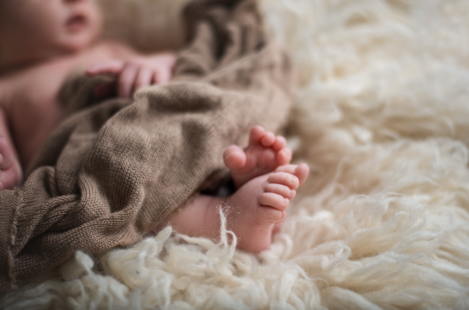 baby toes st. louis newborn photoshoot