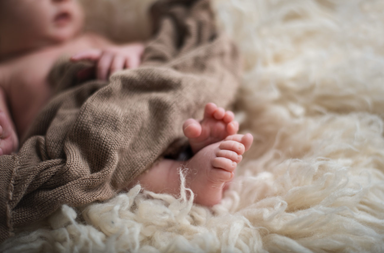questions to ask newborn photographers